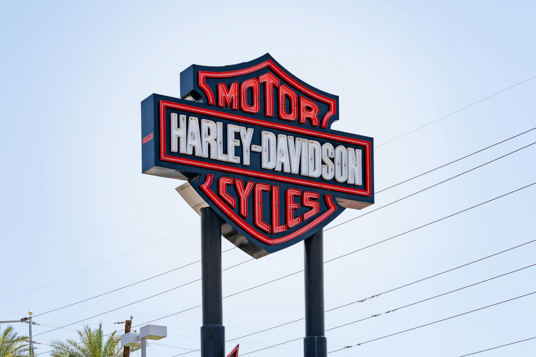 A collection of top-brand motorcycle boots arranged for comparison
